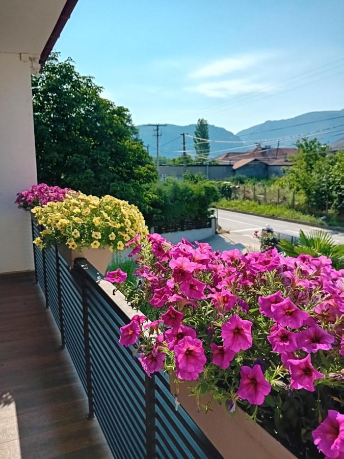 Belov Rooms And Apartments Demir Kapı Dış mekan fotoğraf